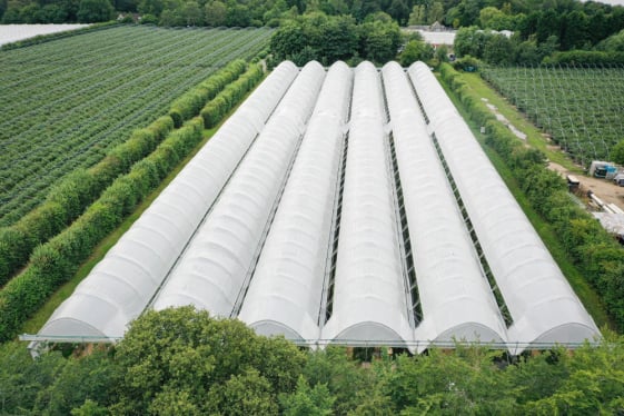 Mobirise Website Builder